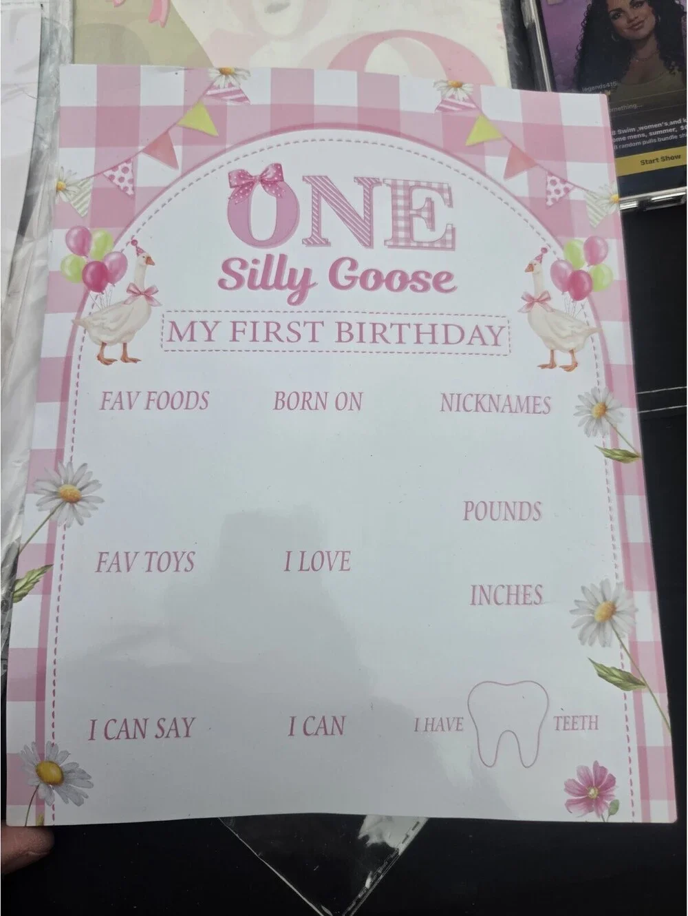 1 silly goose first birthday 133 pieces